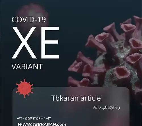 شاخص کوید